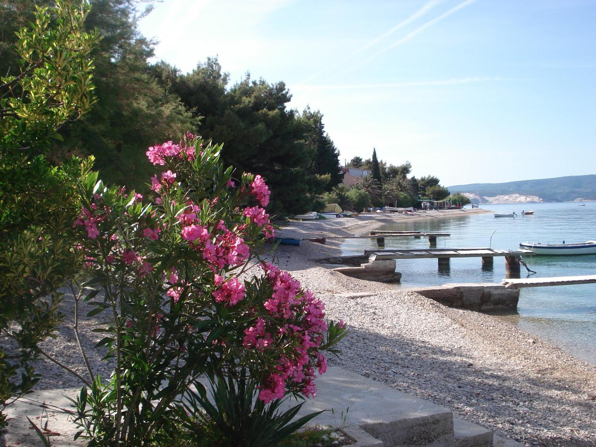 Apartments Smiljana Omiš Eksteriør bilde